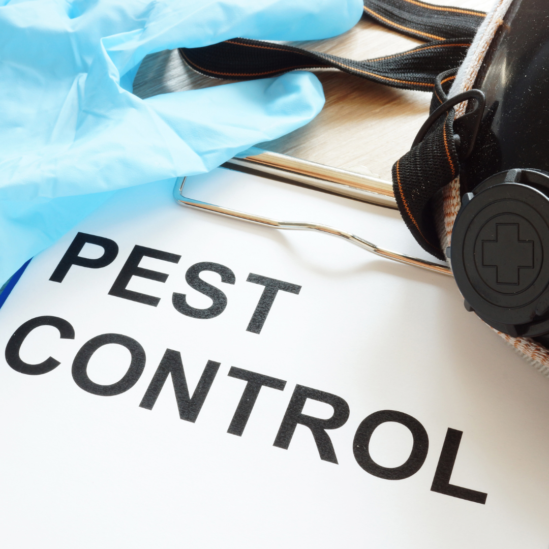 pest control in lethbridge