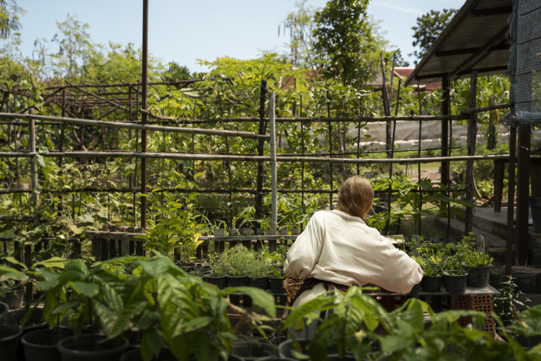 Top 5 Nurseries and Gardening Centers in Lethbridge