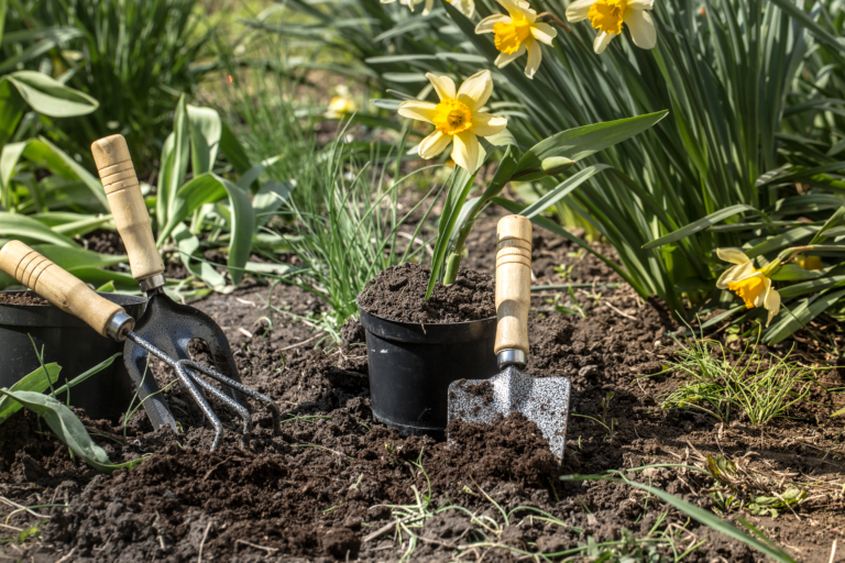 Garden Maintenance Tips to Keep Your Oasis Flourishing!