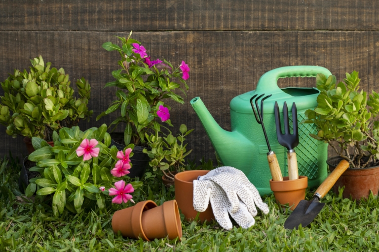 Seasonal Gardening Tips for Lethbridge’s Ever-Changing Weather!